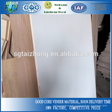 18mm Melamine White Blockboard